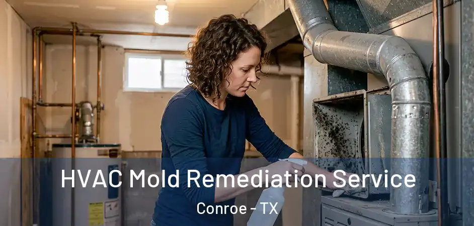  HVAC Mold Remediation Service Conroe - TX