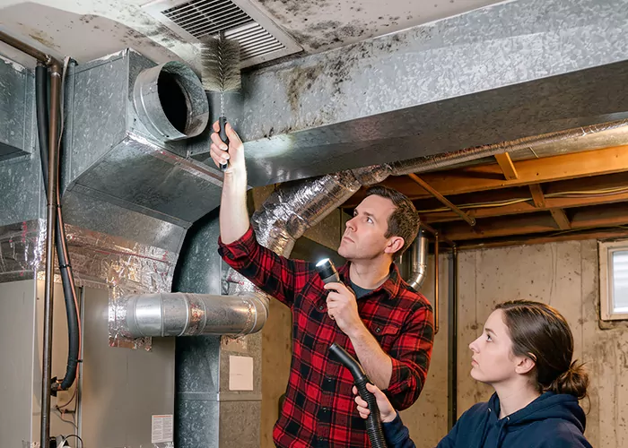 Premier HVAC Mold Remediation Company in Conroe